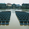 Hochwasser_klein.jpg